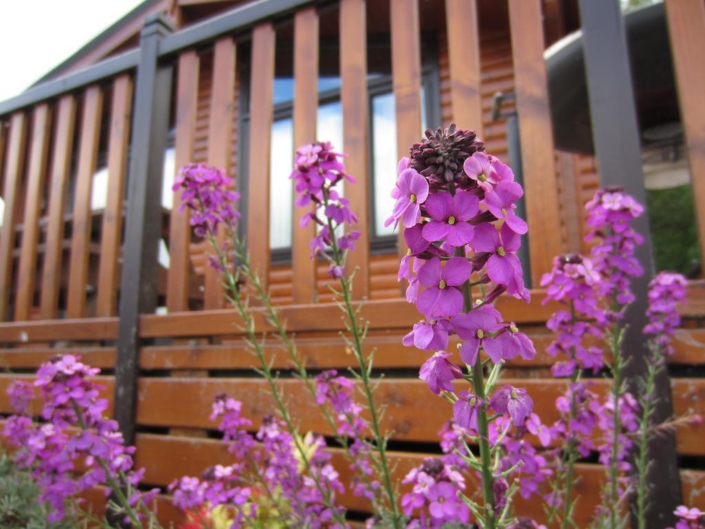 Inverbeg Holiday Park Luss Szoba fotó